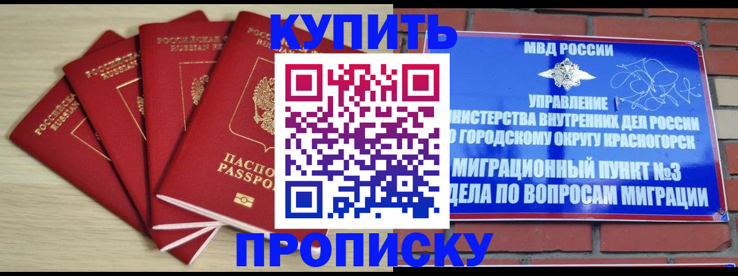 пропишу в квартире в Оленегорске